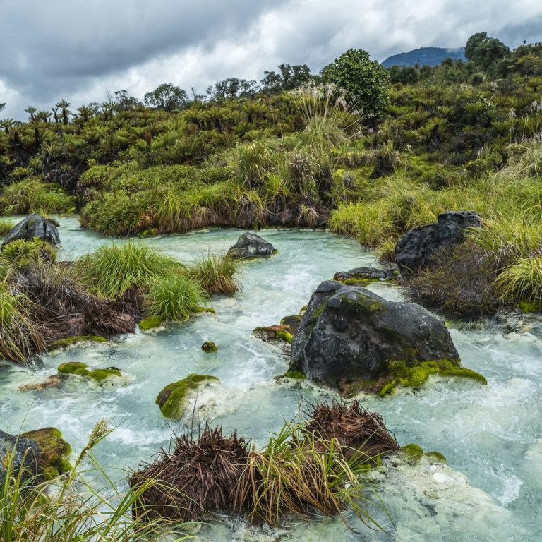 Bach mit klarem Wasser fließt durch eine grüne Landschaft mit Felsen und Pflanzen.