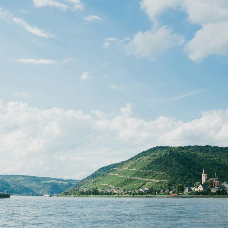 Rheintal mit Weinbergen und einem kleinen Dorf unter blauem Himmel und Wolken.